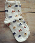 Catty Socks - قطن