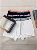 HOLLISTER BEACH BOXERS
