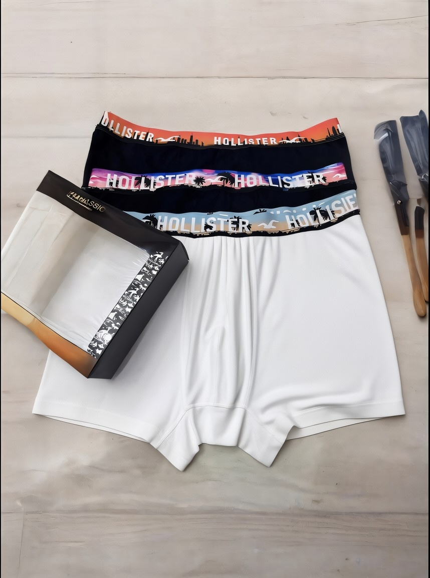 HOLLISTER BEACH BOXERS